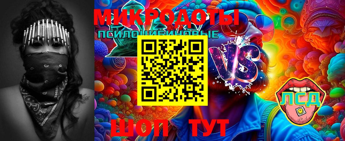 Псилоцибиновые грибы Cubensis Черногорск