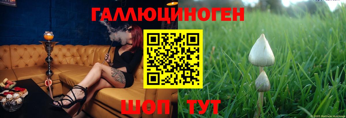 Псилоцибиновые грибы Magic Shrooms  Вход с VPN  Черногорск 